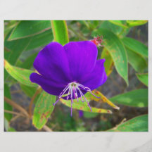 purple flower against green plant design personalized flyer