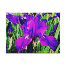 Purple Irises Stretched Canvas Print