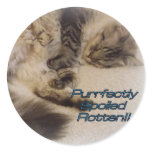Purrfectly a abîmé des autocollants autocollants