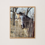 Puzzle de flambage de colt
