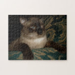Puzzle grincheux de chat siamois