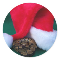 Python de boule à côté de chapeau de Père Noël, No autocollants