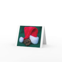 Python de boule à côté de chapeau de Père Noël, No cartes