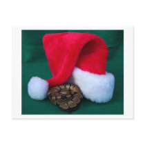 Python de boule à côté de chapeau de Père Noël, No cartes postales