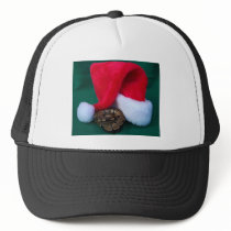 Python de boule à côté de chapeau de Père Noël, No casquettes