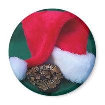 Python de boule à côté de chapeau de Père Noël, No magnets