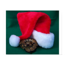 Python de boule à côté de chapeau de Père Noël, No posters