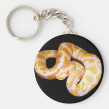 Python de boule albinos porte-clés