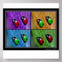 quadri coccinelles posters