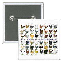 Quarante-huit promos de poule badges