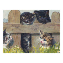 "Quatre chatons jouant" le cru Cartes Postales
