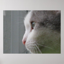 Que pensez-vous environ ? (personnalisable) affiche