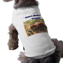 QUEL LAPIN ? … OÙ ? Animal familier drôle T-shirt Pour Animal Domestique