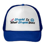 Quel stupide fait casquettes
