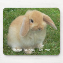 quelques luvs de lapin je tapis de souris