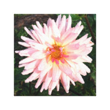 Qui aime le rose ? toile tendue