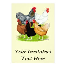quintette Sexe-lié de poulets Cartons D'invitation
