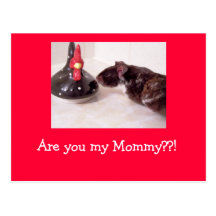 r u ma maman Noé, sont vous ma maman ? ? ! Cartes Postales