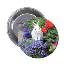 Rabbiit mis en pot badges