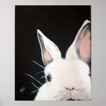 Rabbit.jpg blanc affiche
