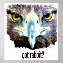 Rabbitr obtenu ? affiche