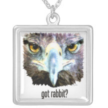 Rabbitr obtenu ? colliers