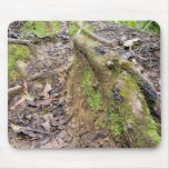 Racines de la forêt tapis de souris