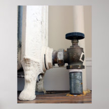 Radiateur Posters