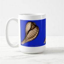 Radiographiez la tasse de coquillage de la figue S