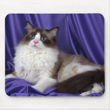Ragdoll, joint bicolore tapis de souris