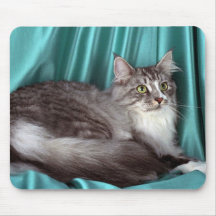 Ragondin du Maine, chat tigré argenté Tapis De Souris