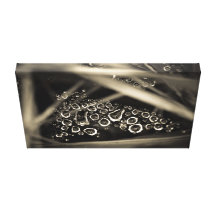 raindrops on web canvas print