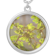Raintree s'embranche photo de bonsaïs collier