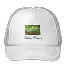 raisins, camp de vin casquettes