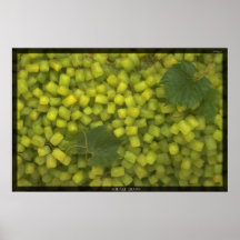 Raisins carrés affiches