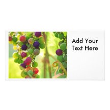 Raisins de beaucoup de couleurs carte avec photo
