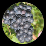 Raisins noirs autocollants