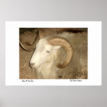 RAM à la foire Affiche