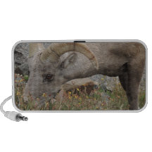 RAM de moutons de Big Horn de montagne rocheuse Haut-parleurs iPod
