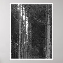 Rangée d'arbre posters