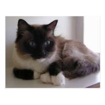Raquette Cartes Postales