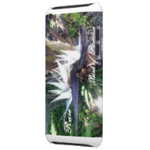 Rare Bird of Pariadise IPhone5 Hard Shell iPod Touch Covers