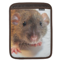 Rat fait sur commande de granit poches iPad