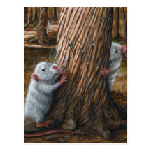 Rats par la vieille carte postale de cache-cache d