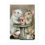 Rats sur une carte postale de date
