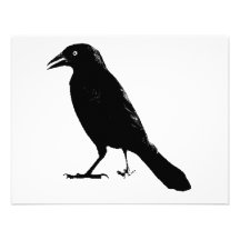 Raven Bristol Personnalisé