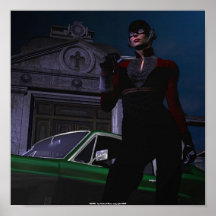 RAVEN le tueur de vampire Affiche