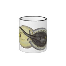 Rayon de Sting repéré par animal vintage d'océan d Mugs
