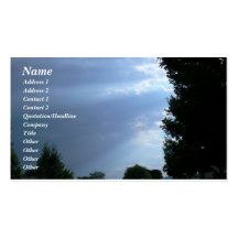 Rayons de Sun Cartes De Visite Personnelles