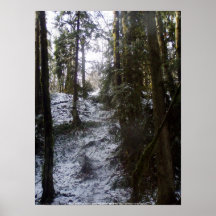 Rayons de Sun de forêt dans la neige #53 Affiches
